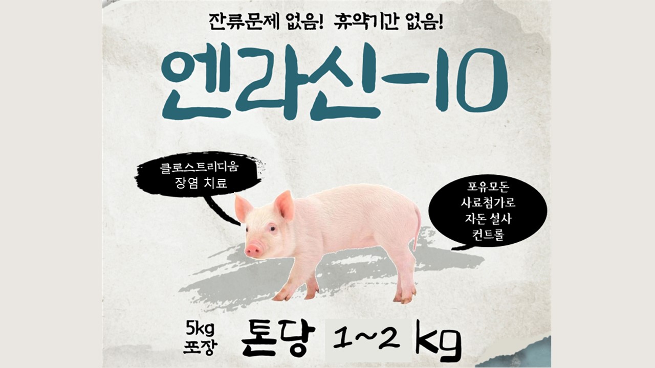 여름철 인기있는 엔라신-10 썸네일