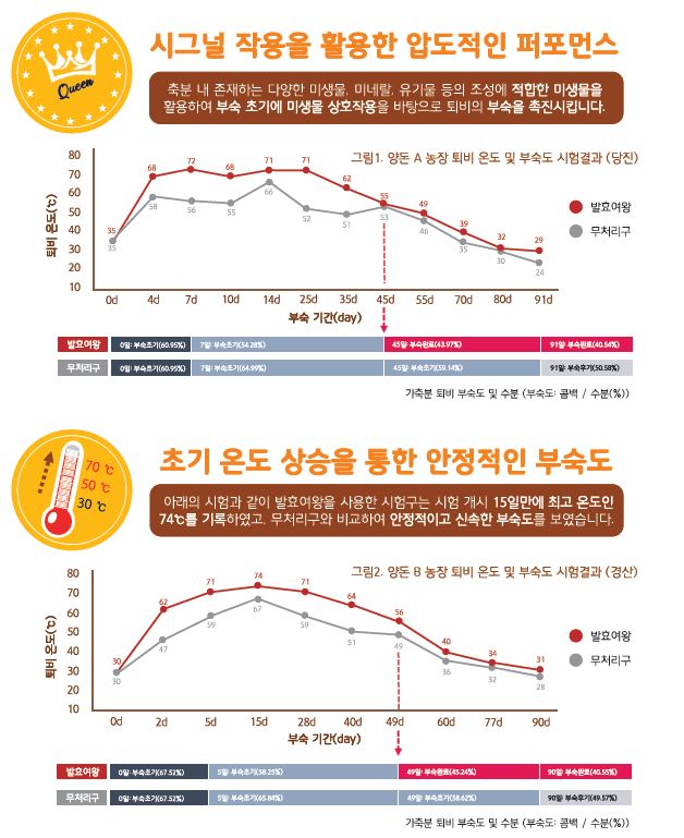 발효여왕1.JPG